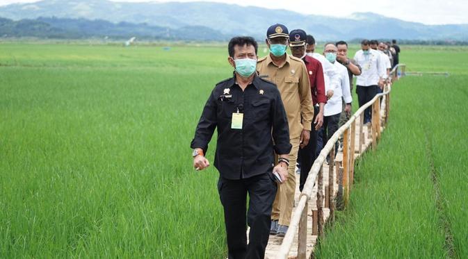 Mentan Minta Bulog Maksimalkan Serap Gabah Petani