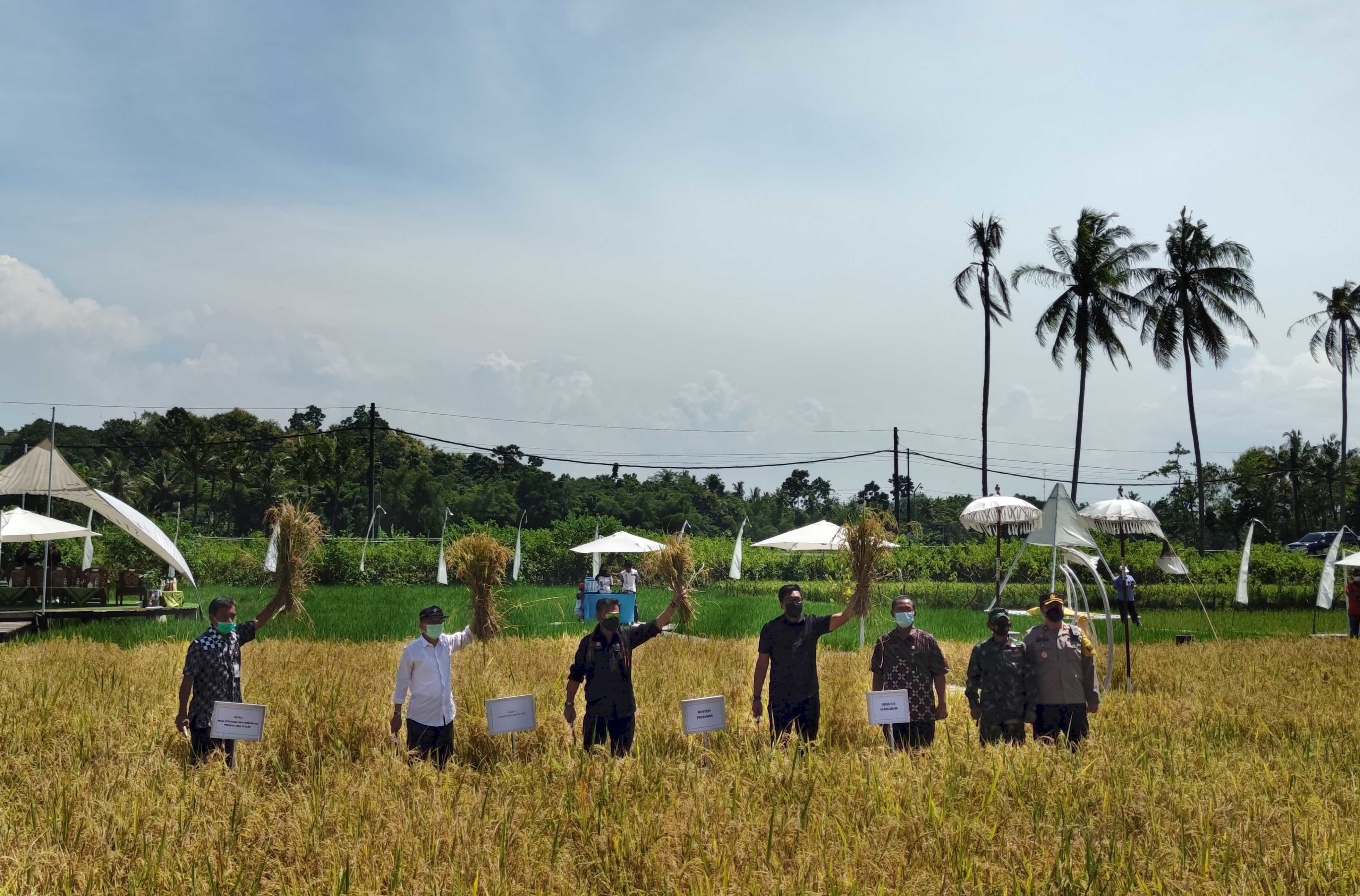 Mentan SYL Panen Padi Di Lahan Demplot Petrokimia Gresik