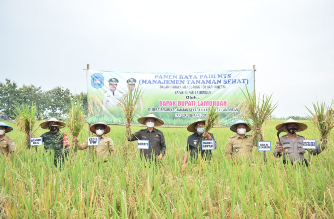 Apresiasi Produksi Beras Lamongan Melimpah, Bupati Yess Dorong Inovasi Pertanian