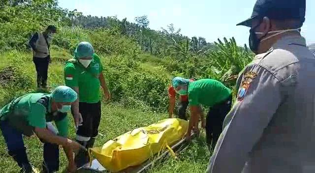 Ditemukan Pencari Rumput,Mayat di JLS Masih Dalam Penyelidikan