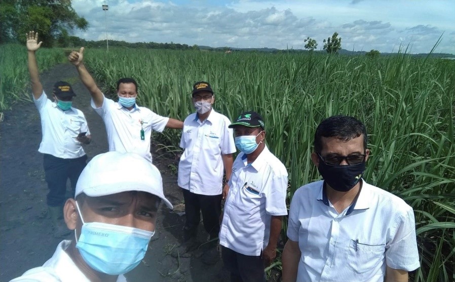 Hingga Tahun 2021, PTPN Group Targetkan Produksi Gula 1,8 Juta Ton