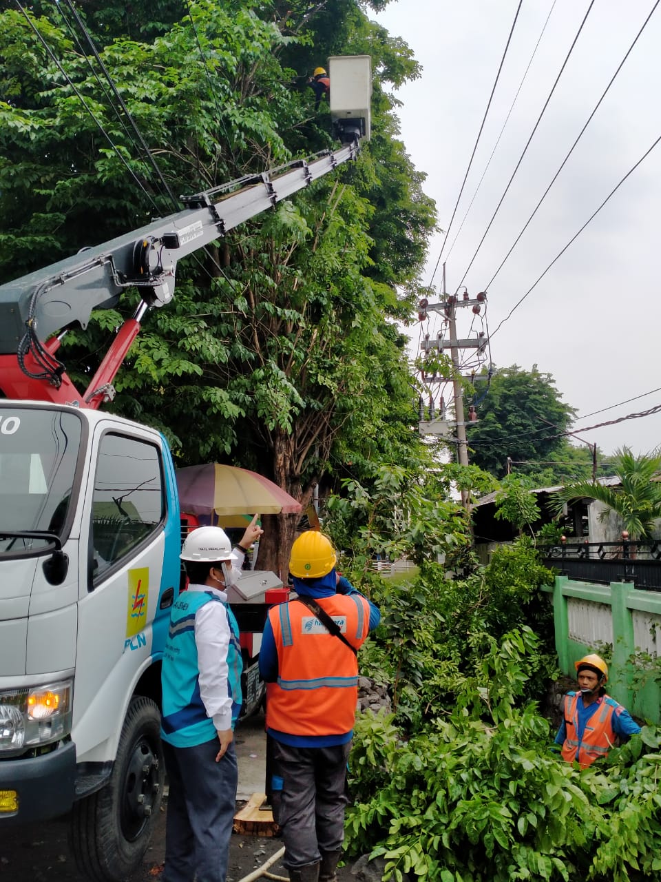 Pastikan Jaringan Tetap Aman, PLN UP3 Sidoarjo Lakukan Perabasan Pohon