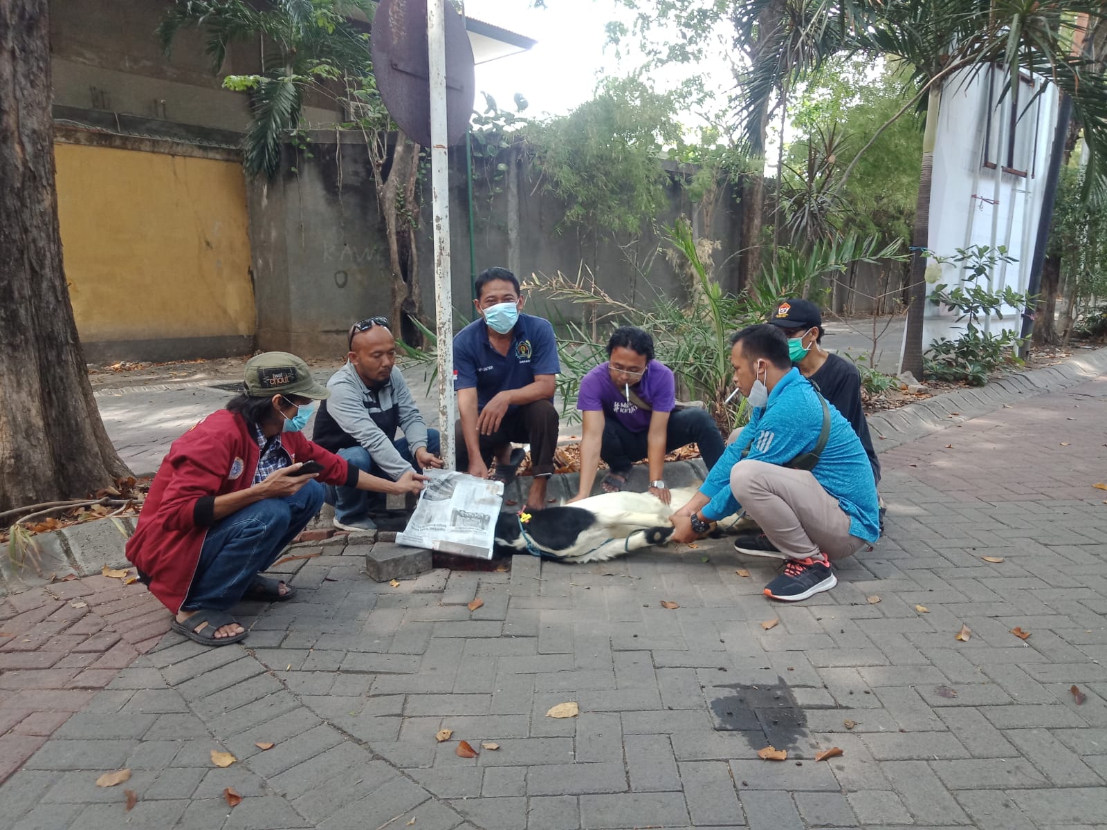PWI Gresik Sembelih dan Bagikan Hewan Kurban