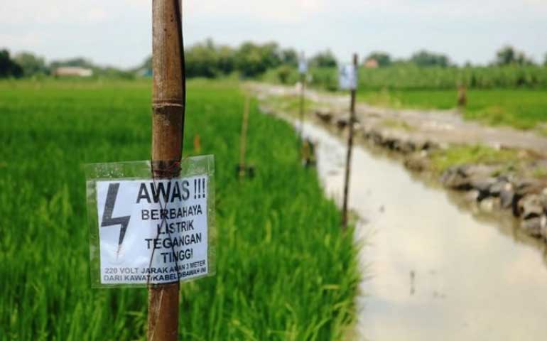 Pasang Jebakan Tikus, Lha Kok Kakinya Nginjak Kabel, Warga Jombang Ini Akhirnya Dikubur
