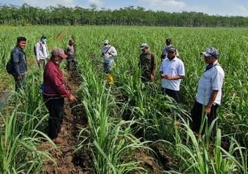 PTPN XI Dapat Apresiasi dari Dewan Komisaris