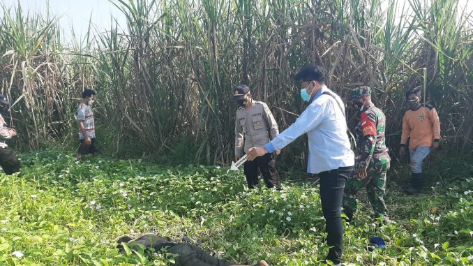 Terserang Stroke, Warga Jetis Mojokerto Meregang Nyawa di Kebun Kangkung