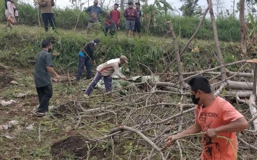 Tebang  Pohon, Pohonnya Rubuh Tindih Tubuh, Akhirnya Mati