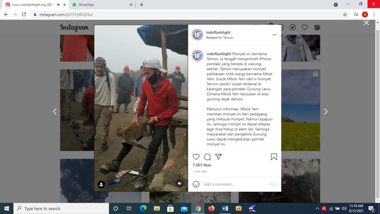 Pendaki Gunung Lawu HP nya Dijambret, Pelakunya Monyet