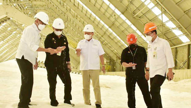 Kata Mentan,  Ini Penyebab Harga Pupuk Non Subsidi Alami Kenaikan