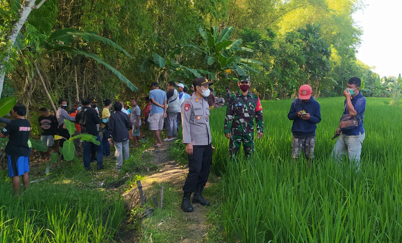 Pamit Mencari Kodok, Warga Ngawi Pulang Tinggal Nama
