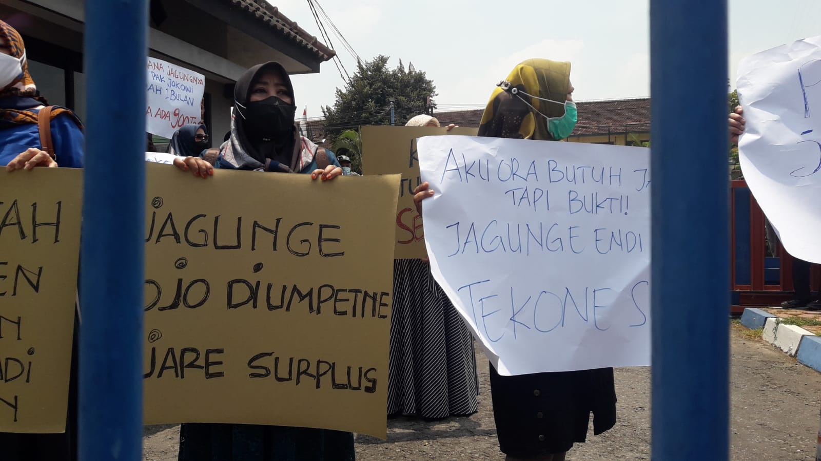 Peternak Ayam di Blitar Tagih Janji Presiden Sediakan Jagung Murah