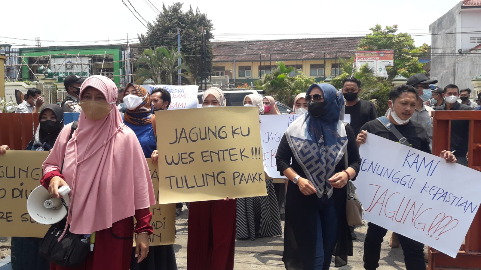 Harga Hancur, Peternak Ayam di Tulungagung Sekarat