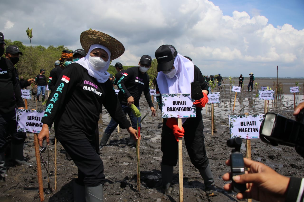 Lestarikan Ekosistem Hayati, Bupati Bojonegoro Ikut "Nandur" Mangrove Banyuwangi