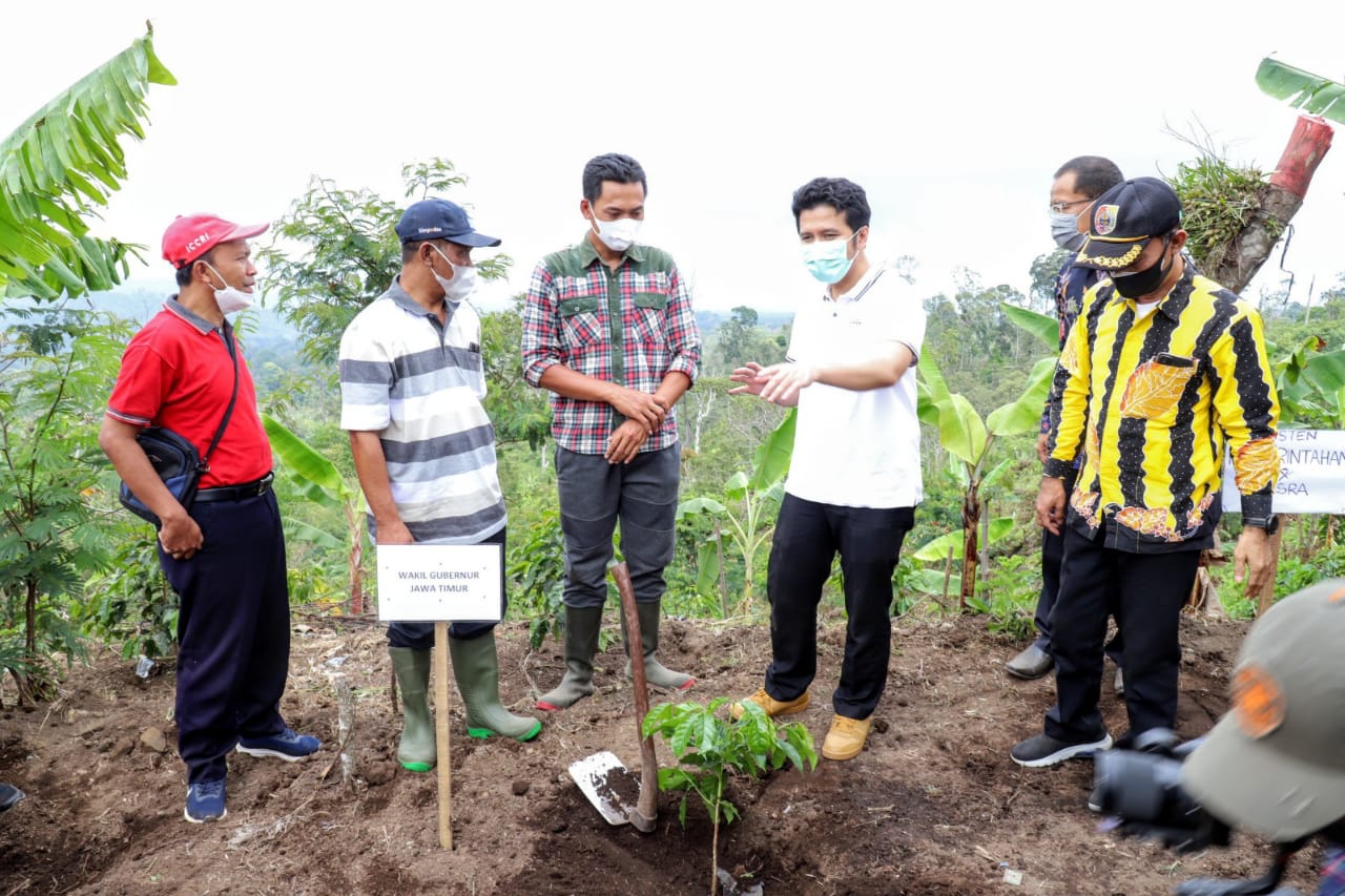 Wagub Emil Dorong Milenial Jadi Petani Kopi Andalan