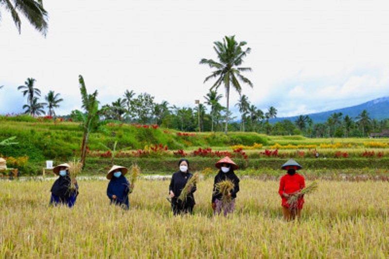 Ketua DPR RI : Pertanian Berpotensi Dijadikan Agrowisata