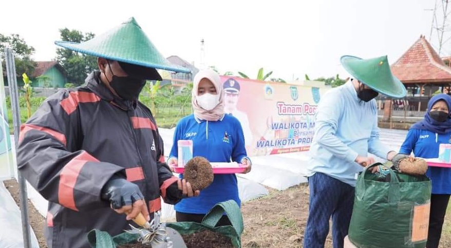 Wali Kota Madiun Resmikan Demplot Tanaman Porang di Taman Wisata Ngrowo
