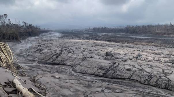 5.354 Hektar Lahan Perhutani di Lumajang Terdampak Erupsi Gunung Semeru