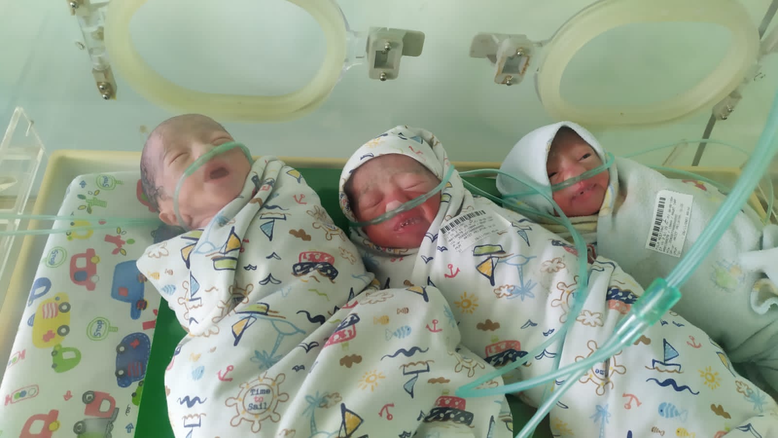 Lahir Prematur, Karyawan Apotek di Ponorogo Dikaruniai 3 Bayi Kembar