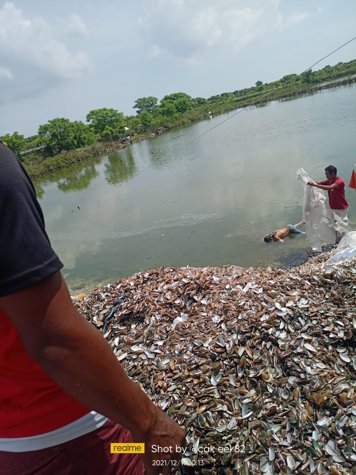 Dua Hari Hilang Misterius, Bocah Gresik Ditemukan Mengambang di Tambak
