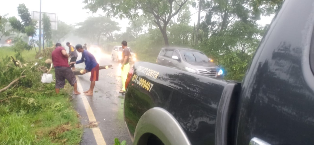Akibat Hujan deras Disertai Angin, Banyak Pohon Tumbang di Akses Suramadu