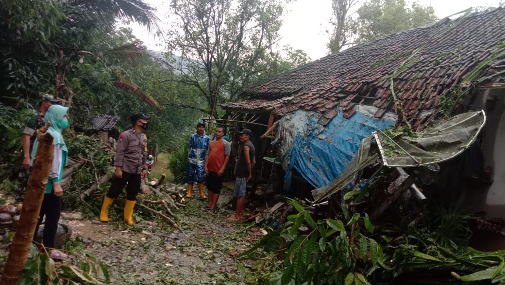 Tertimpa Pohon Trembesi, Rumah Warga di Ponorogo Rusak