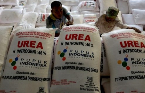 Awasi Pupuk Bersubsidi, Pemprov Jatim Perkuat Peran KP3 Hingga Tingkat Kabupaten Kota