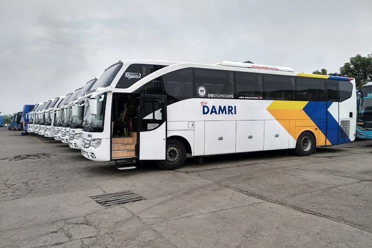 Damri Buka Trayek Surabaya-Bayuwangi Lewat Jalur Pantura
