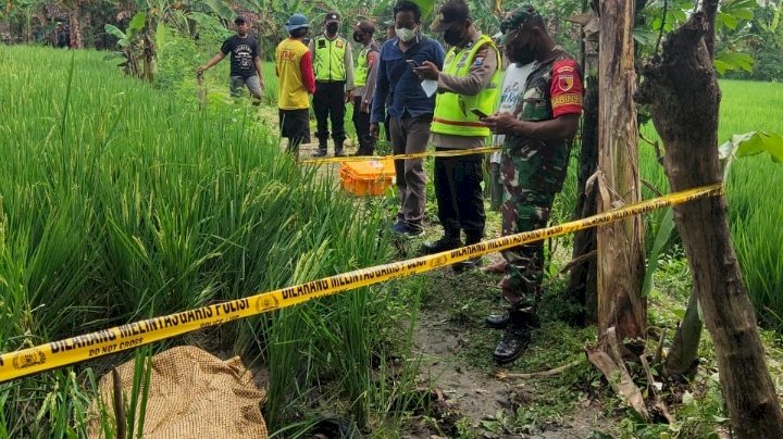 Semprot Padi, Petani Ngawi Tewas Tersengan Listrik Jebakan Tikus