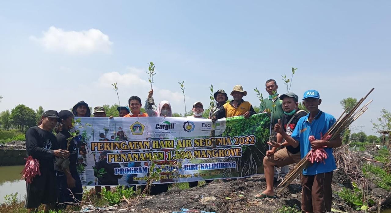 Peringati Hari Sedunia, Cargill Gresik Tanam 1.500 Bibit Mangrove di Kalimireng