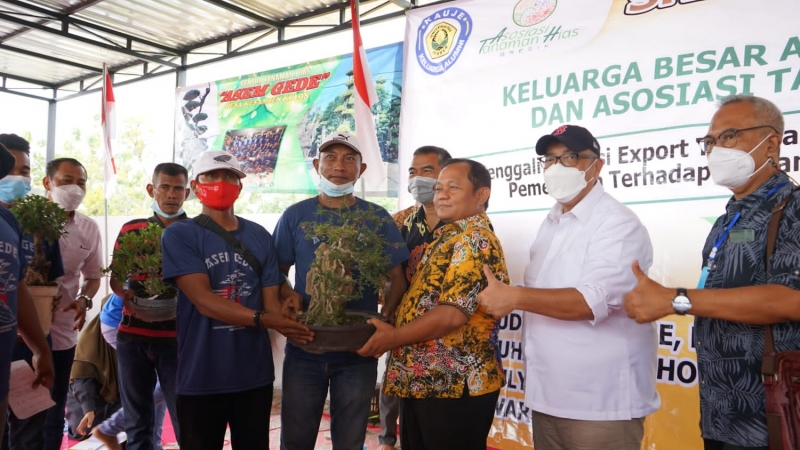 BI Dukung Peningkatan Ekspor Sentra Tanaman Hias Kedamean Gresik