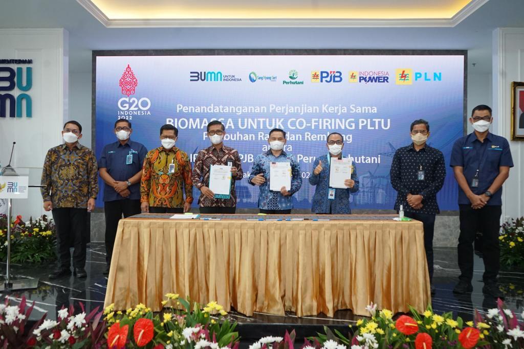 Pasok Serbuk Kayu 14 Ribu Ton, Perhutani Dukung Biomassa Co-Firing