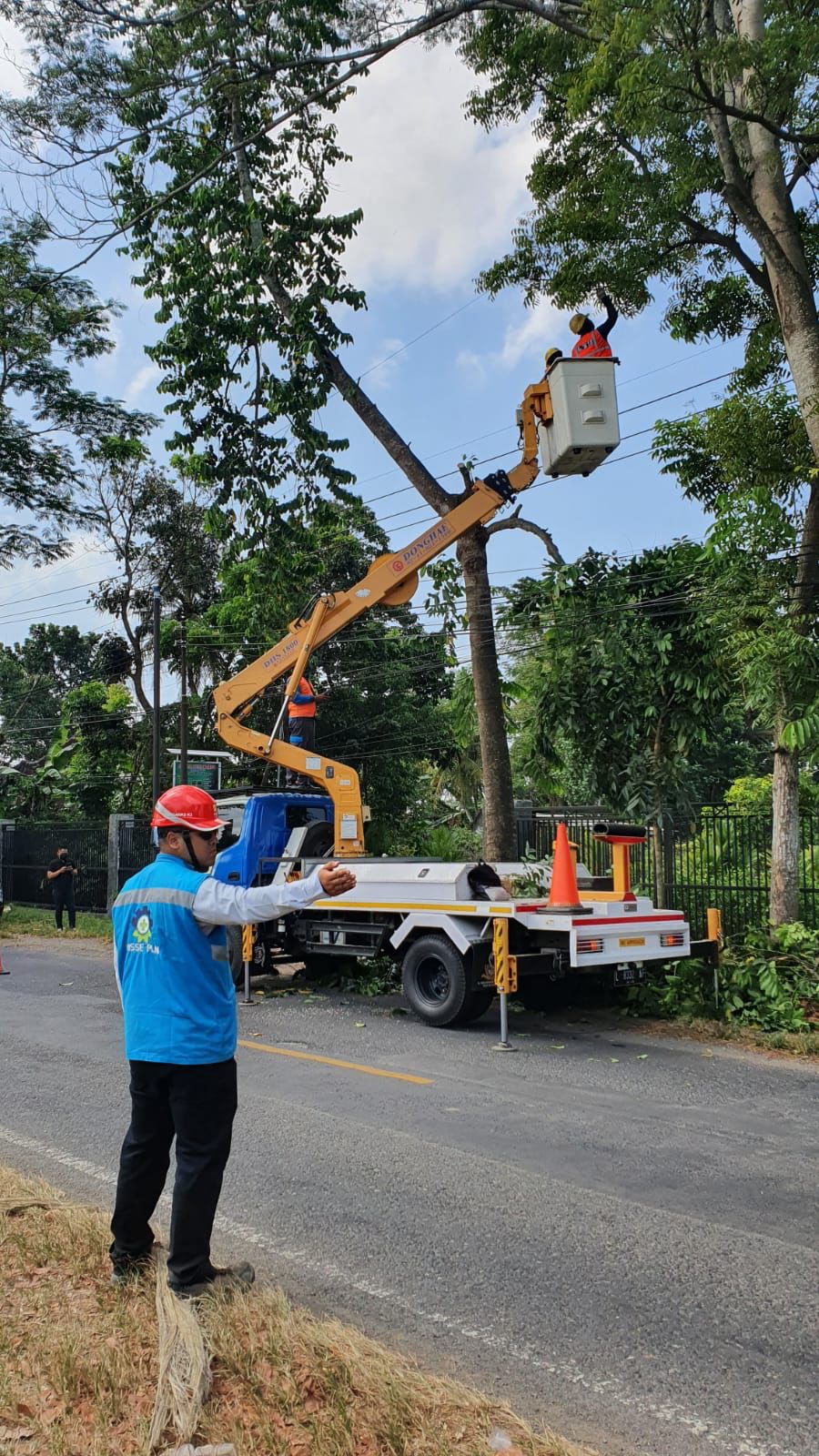 Terjunkan 214 Personel Gabungan, PLN Lakukan Pemeliharaan Tanpa Padam