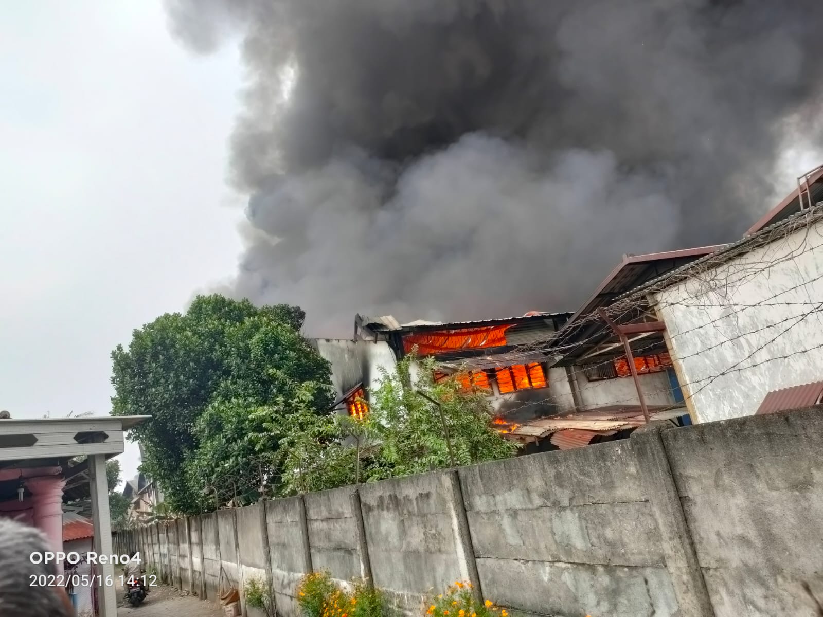 Pabrik Mebel di Trosobo Ludes Dilalap Sijago Merah