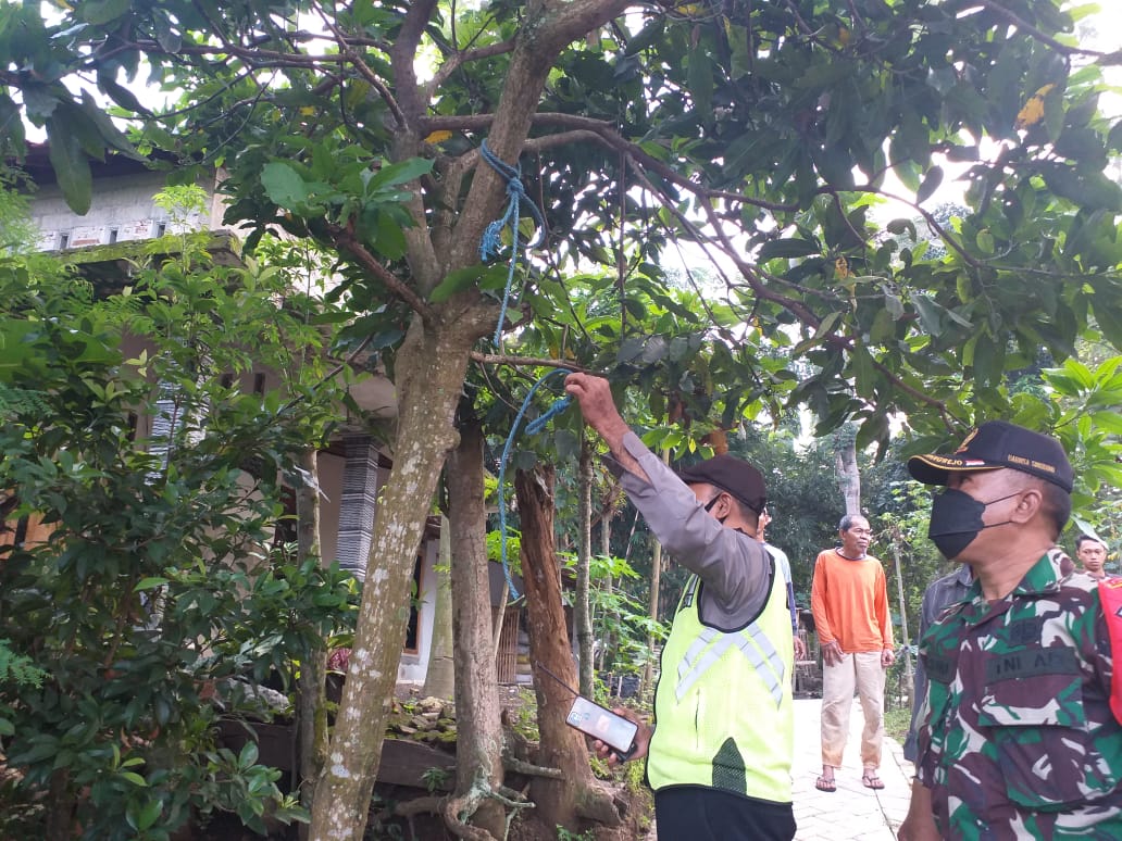 Nyawa Seorang Kakek di Tulungagung Ini Berakhir Tragis di Pohon Mangga
