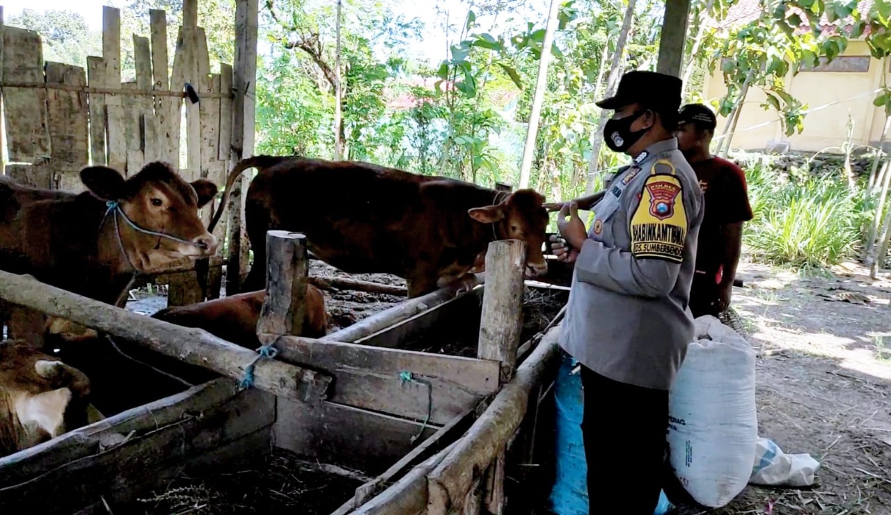 Kapolres Bojonegoro Instruksikan Kapolsek dan Bhabinkamtibmas Awasi Hewan Ternak