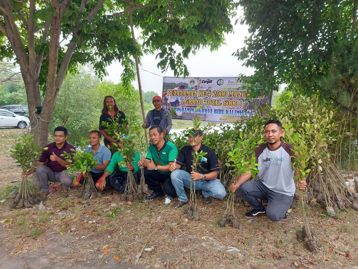 Cargill Gresik Lanjutkan Aksi Tanam Ke Empat 2000 Mangrove Kalimireng Manyar