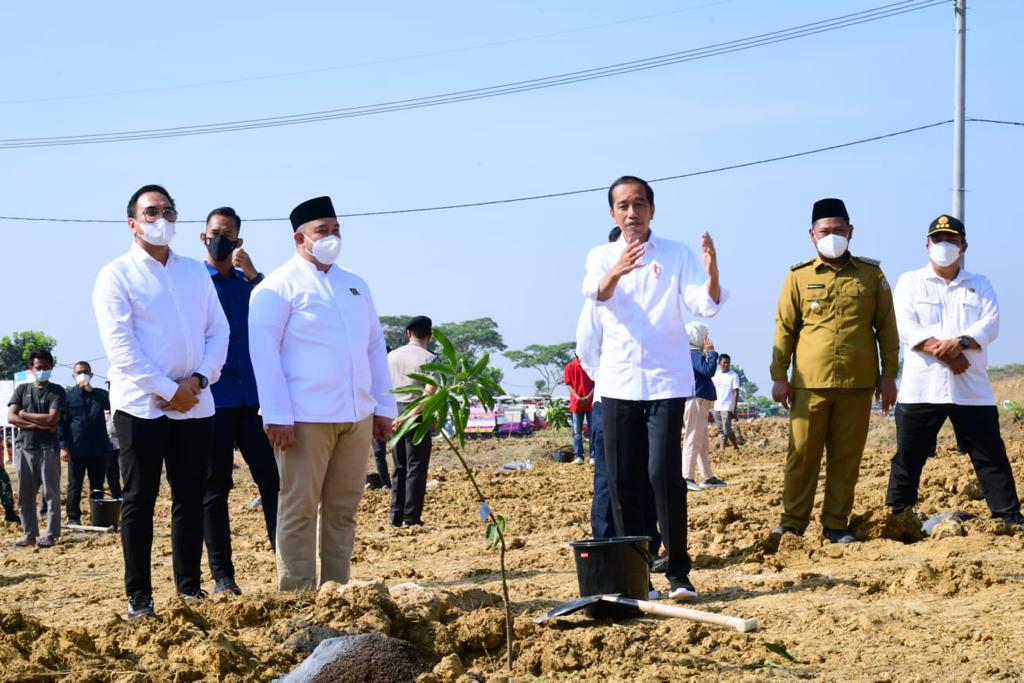 Presiden Jokowi Luncurkan Lumbung Pangan Berbasis Mangga di Area Waduk Sukodono Kabupaten Gresik