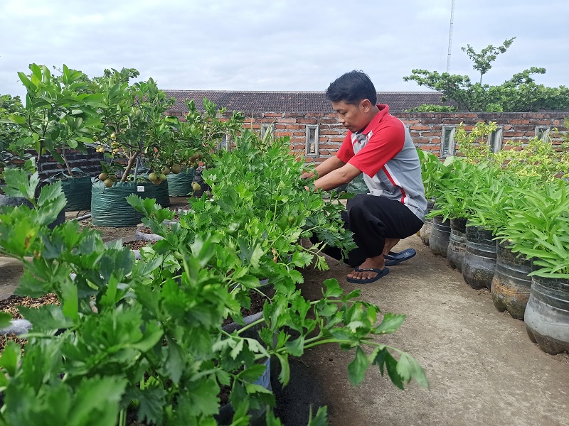 Salurkan Hoby Tanam ala Guru SMKN 2 Ponorogo