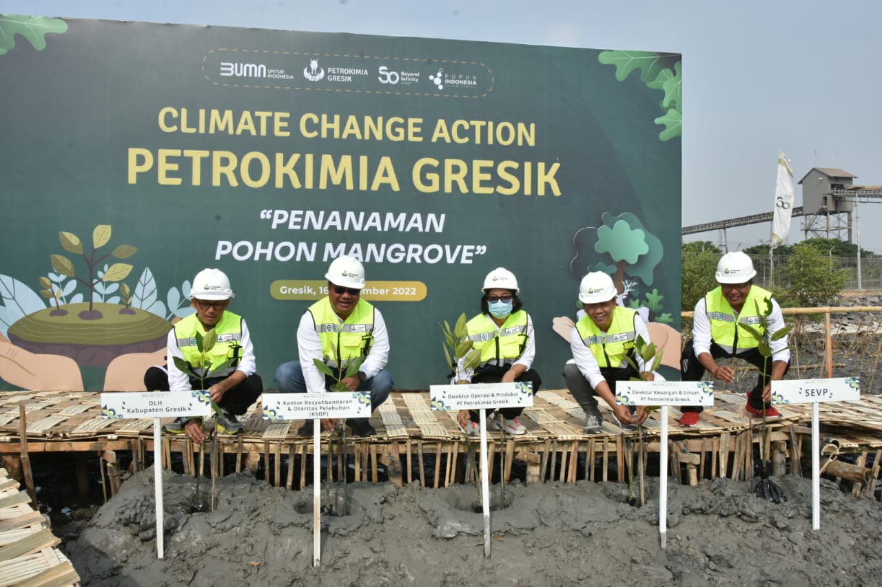 Ribuan Mangrove Ditanam Petrokimia Gresik Bersama Masyarakat Untuk Menyerap Karbon