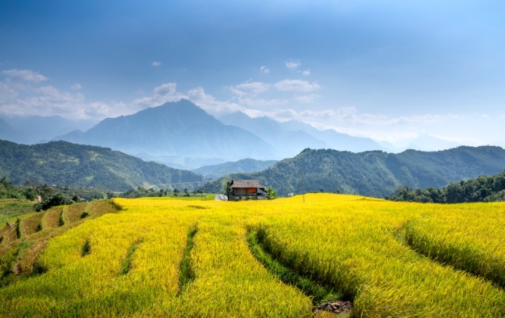 Pemkab Ajukan Verifikasi Lahan Sawah Dilindungi Kabupaten Gresik Kepada Kementerian ATR/BPN, Ranperda RTRW Segera Final