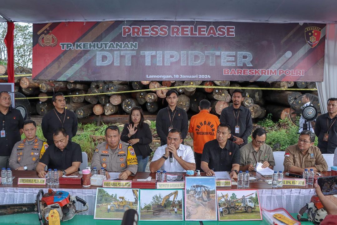 Bareskrim Polri Bongkar Illegal Logging Ribuan Kayu Gelondongan Asal Kalimantan Dikirim ke Lamongan