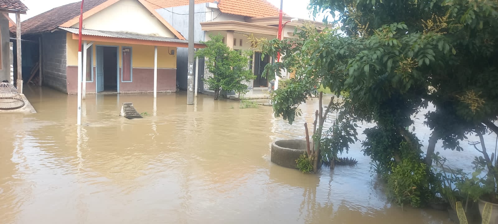 Hujan Deras 2 Hari, Beberapa Wilayah Gresik Selatan Banjir