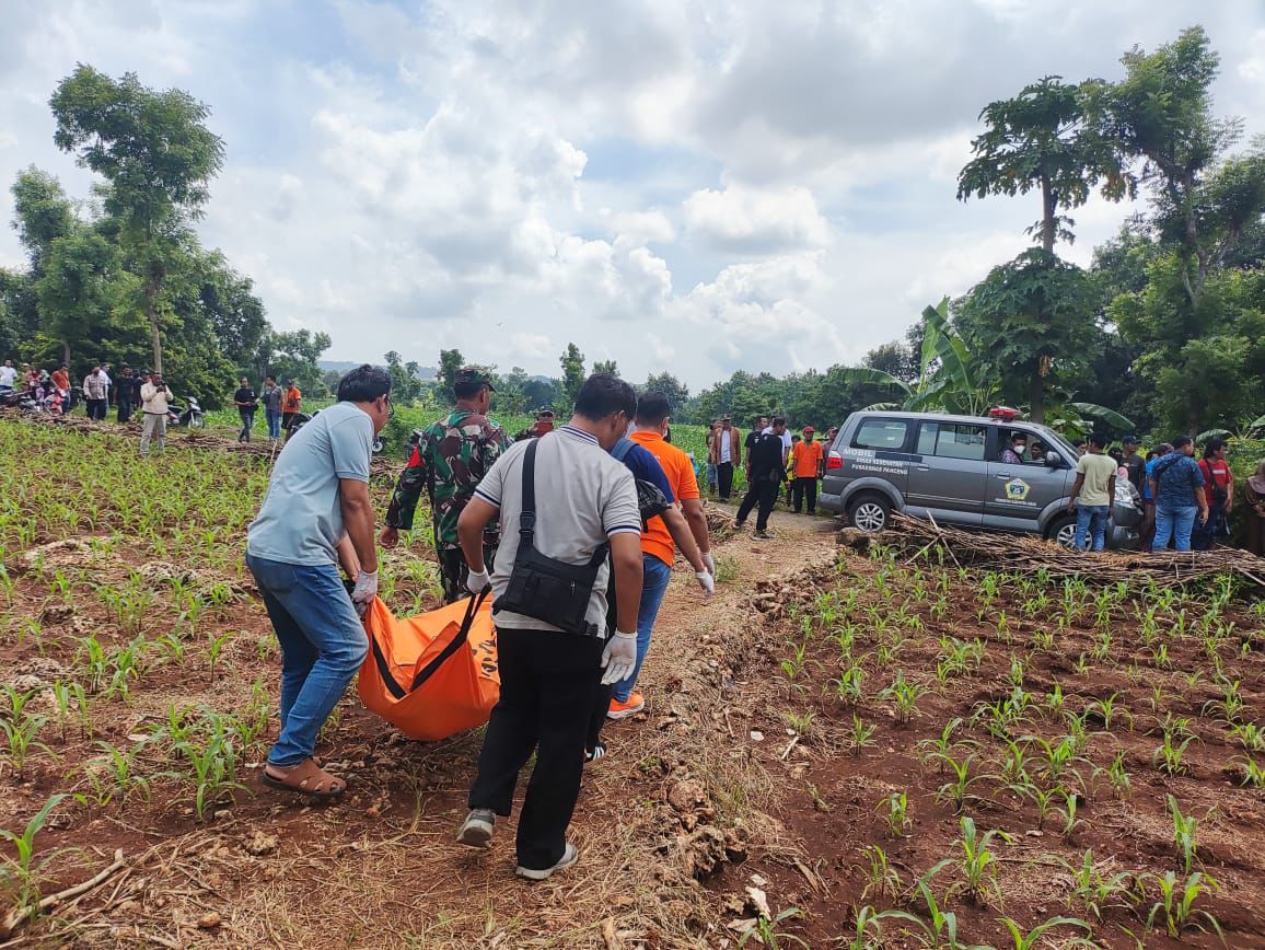 Misteri Kematian Mayat di Kebun Jagung Desa Wotan Gresik, Polisi Menunggu Hasil Labfor
