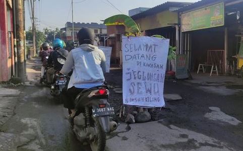 Geram Jalan Rusak, Warga Sidoarjo Tanam 40 Pohon Pisang di Tengah Jalan