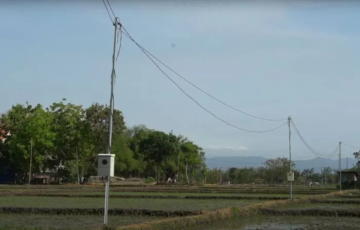 Peringati Hari Bumi 2024, PLN Bersama DLH Surabaya Gelar Tanam Pohon