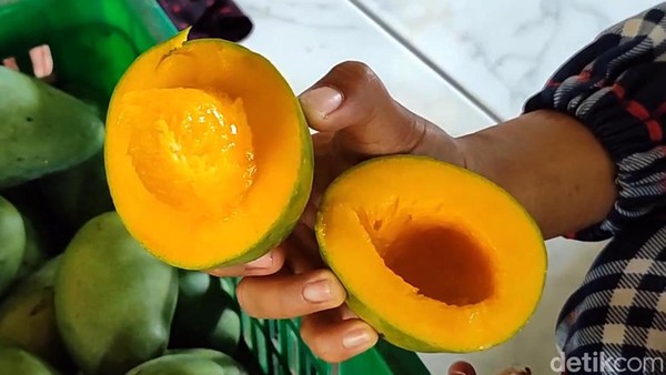 Mengenal Mangga Alpukat Khas Pasuruan, Apa Bedanya Dengan yang Biasa?