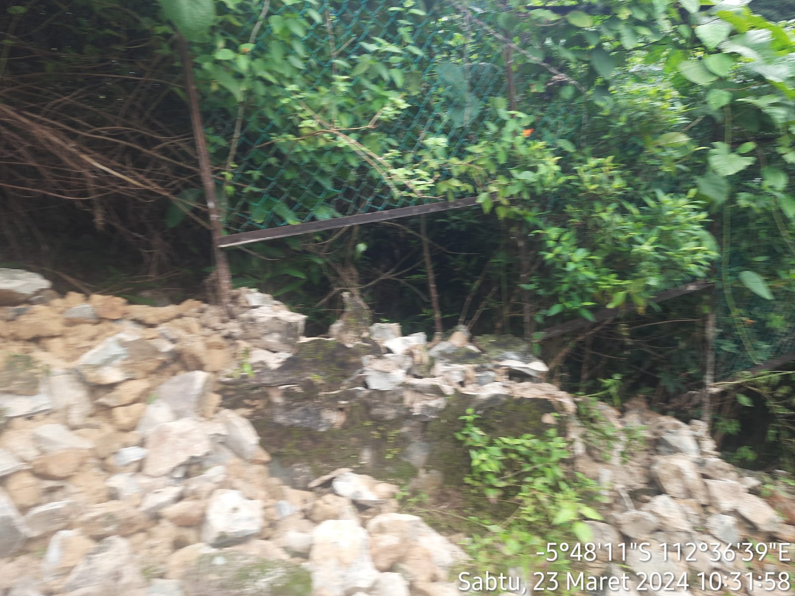 Terimbas Gempa, Penangkaran Rusa Endemik Bawean Rusak