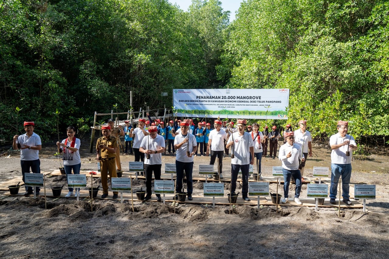 Peringati Hari Lingkungan Hidup Sedunia, Yayasan AHM dan MPM Honda Jatim Tanam Puluhan Ribu Mangrove di Banyuwangi.