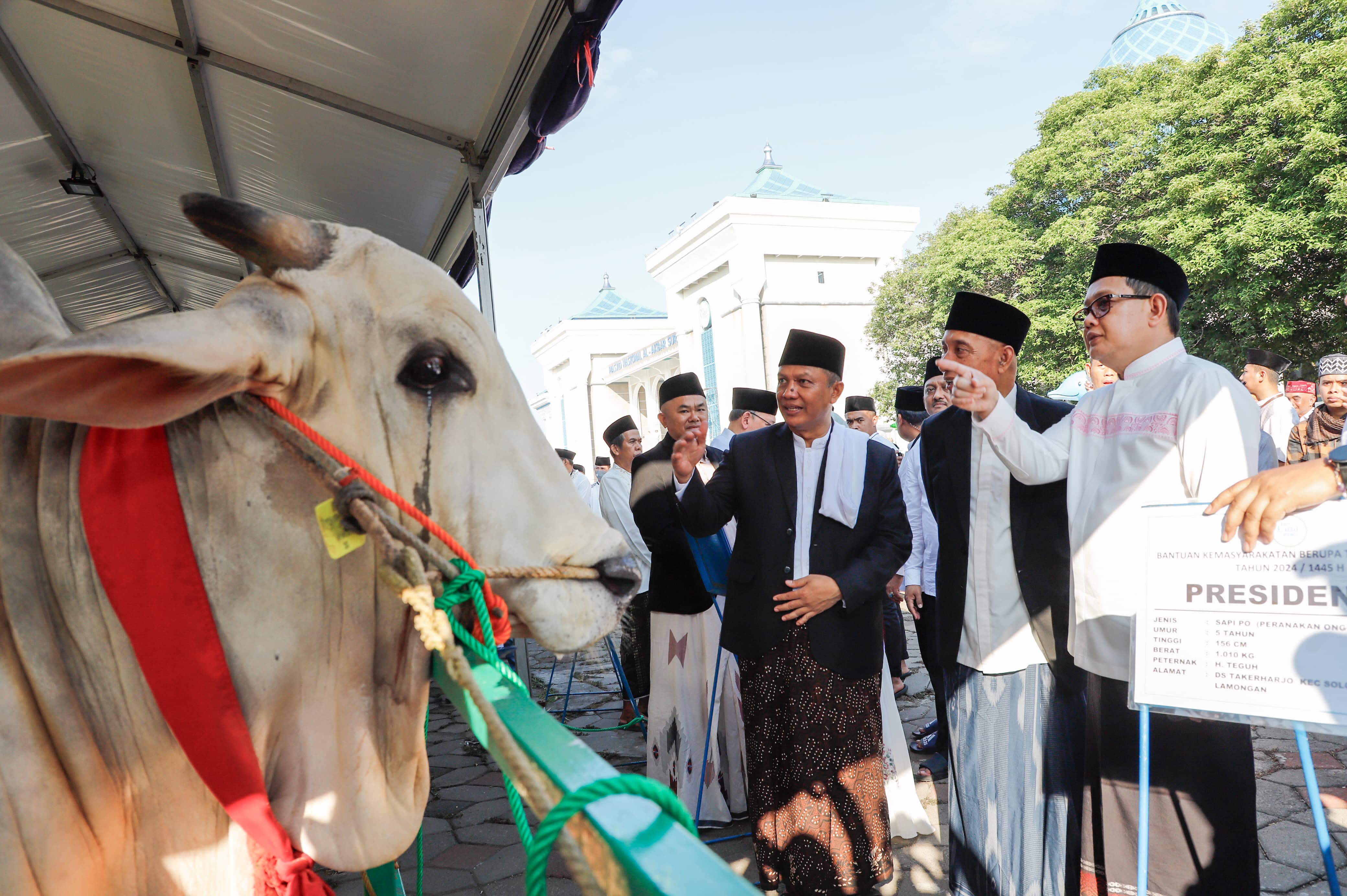 Jumlah Hewan Kurban Jatim Meningkat, Pj Gubernur Adhy: Ekonomi Membaik Seiring dengan Peningkatan Kesalehan Sosial Masyarakat
