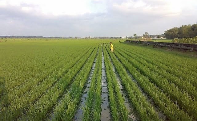 Pemkab Bojonegoro Ajukan Penambahan Alokasi Pupuk Subsidi 2025 ke Kementan